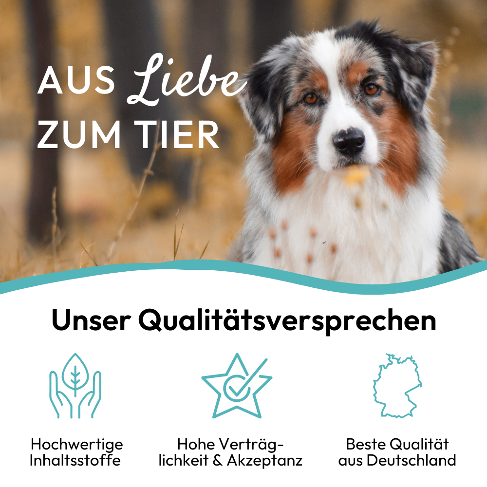 PHA MultiVitalStick für Hunde