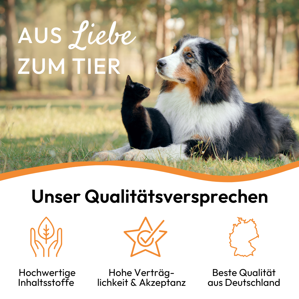 PHA MagenVital für Hunde, 200 g