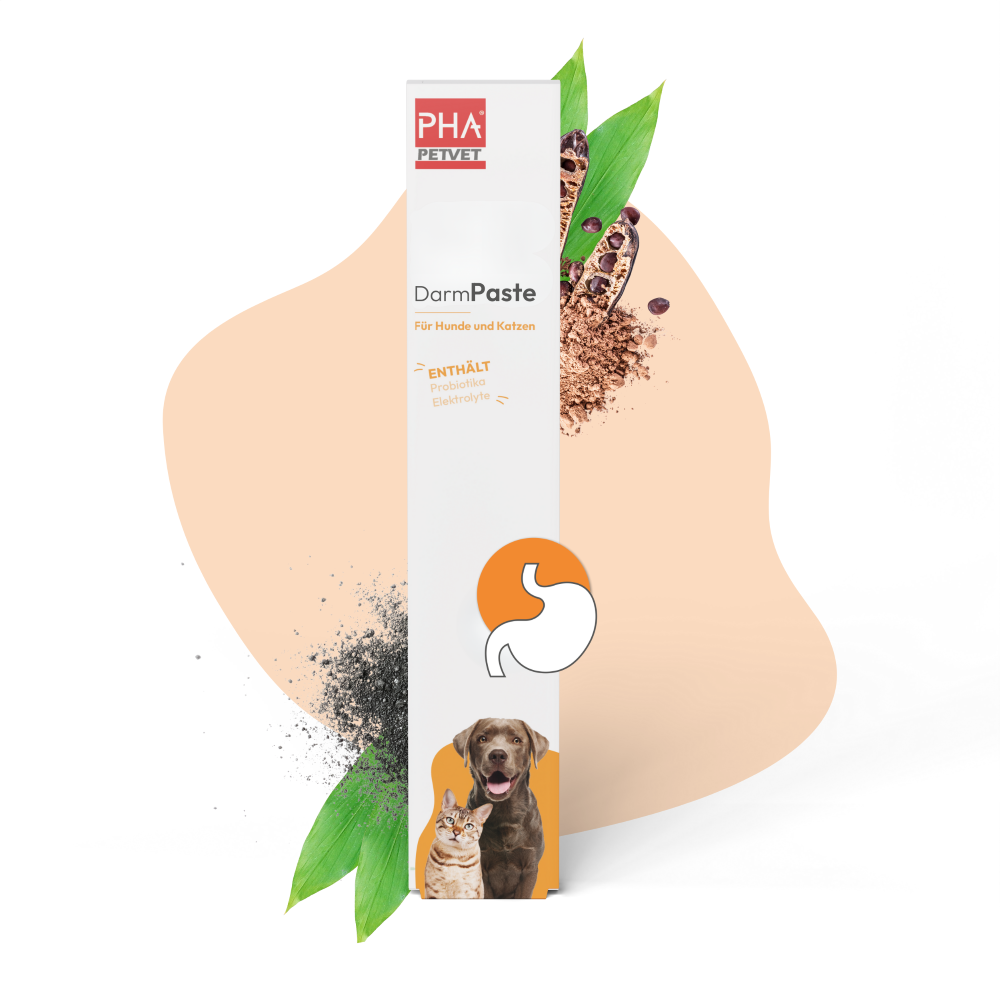 PHA DarmPaste für Hunde und Katzen 15 ml