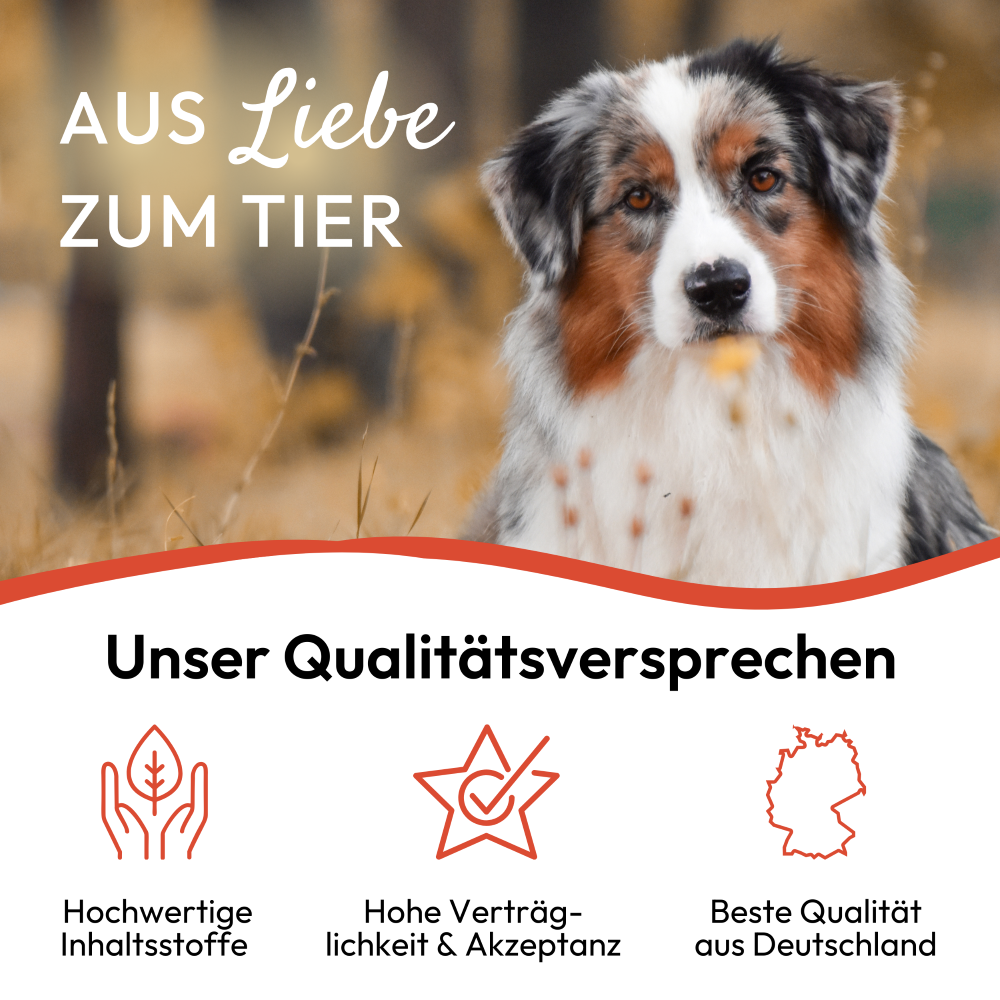 PHA Z-Abwehr für Hunde