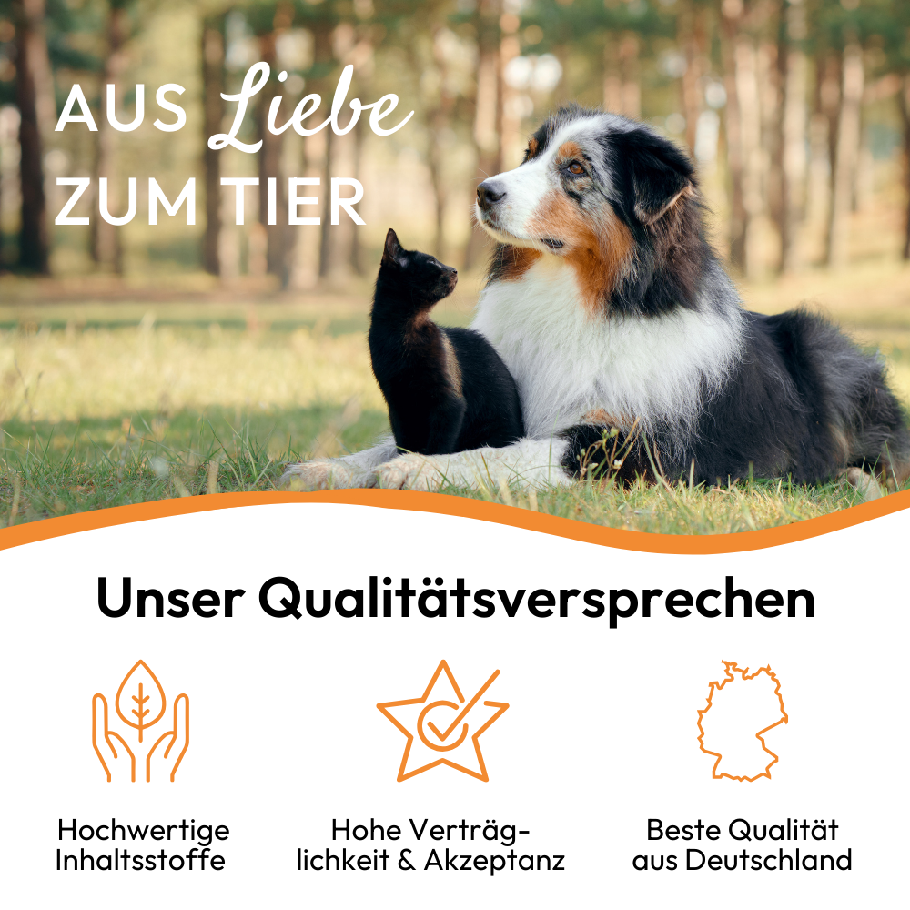 PHA MalzPaste für Katzen  - 100 ml