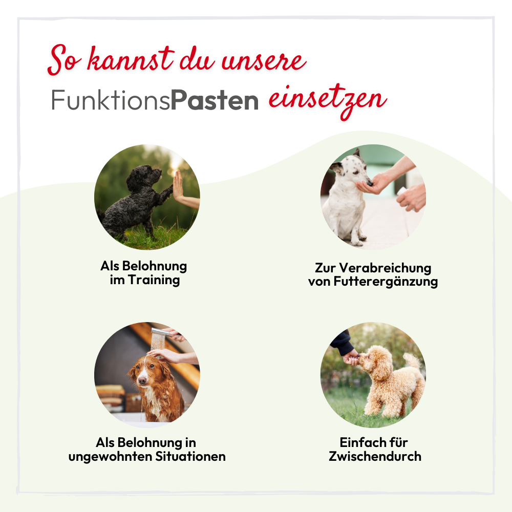 PHA VitaminPaste für Katzen - 100 ml