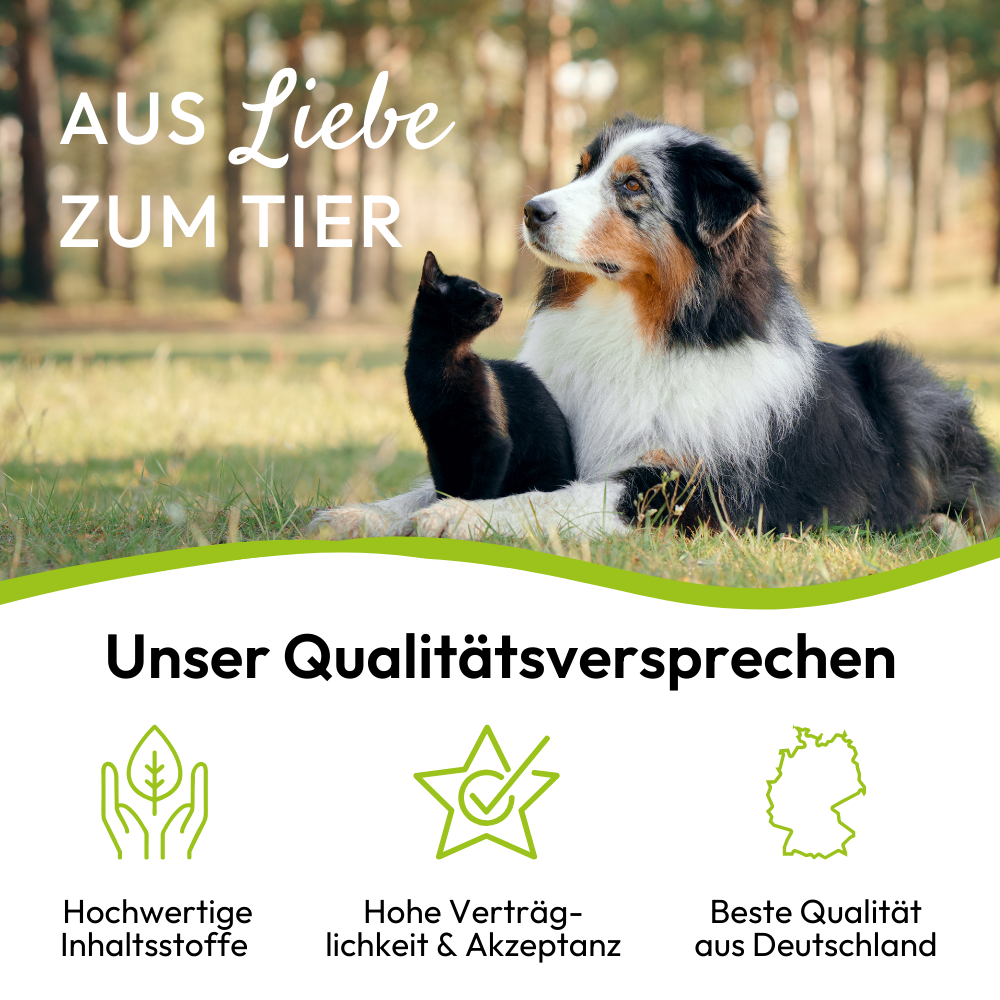 PHA VitaminPaste für Katzen - 100 ml