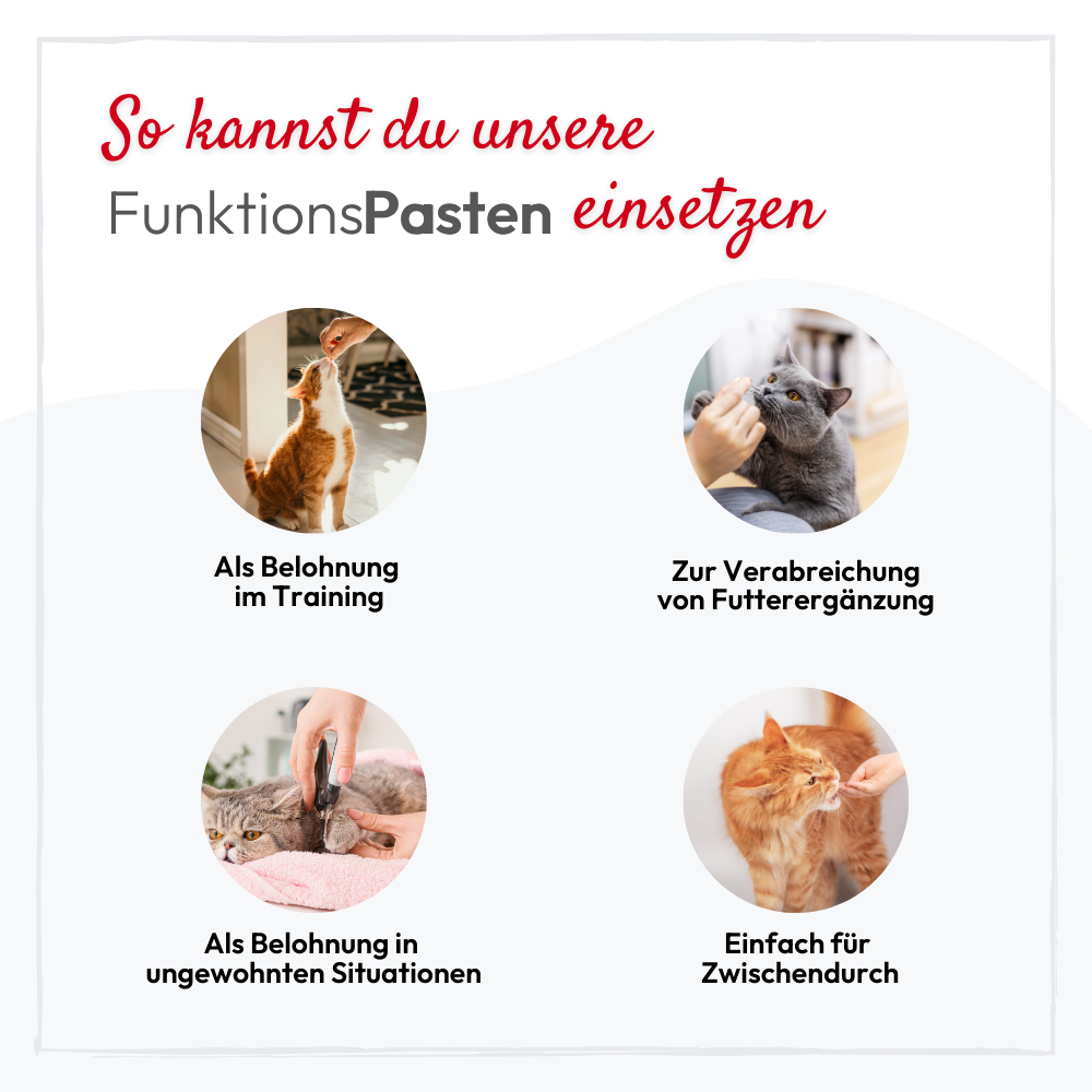 PHA GastroPaste für Katzen - 100 ml