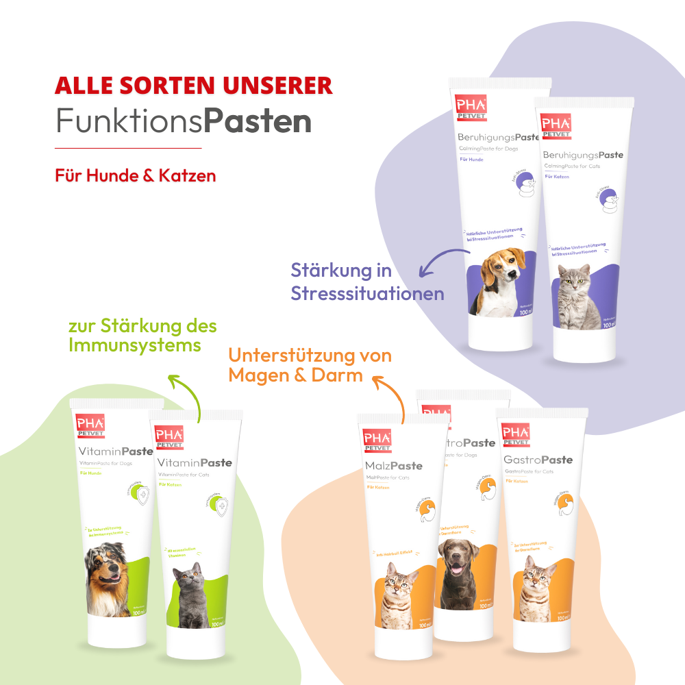 PHA GastroPaste für Katzen - 100 ml