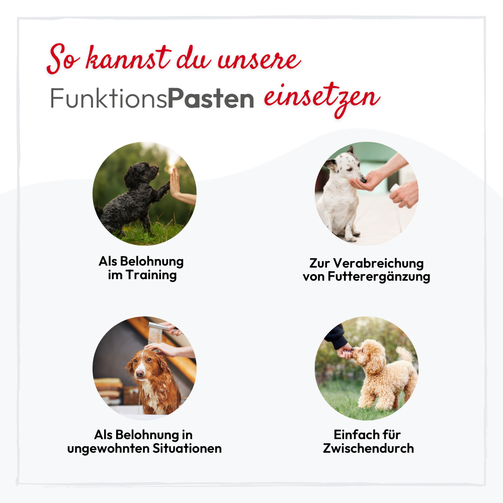 PHA GastroPaste für Hunde - 100 ml