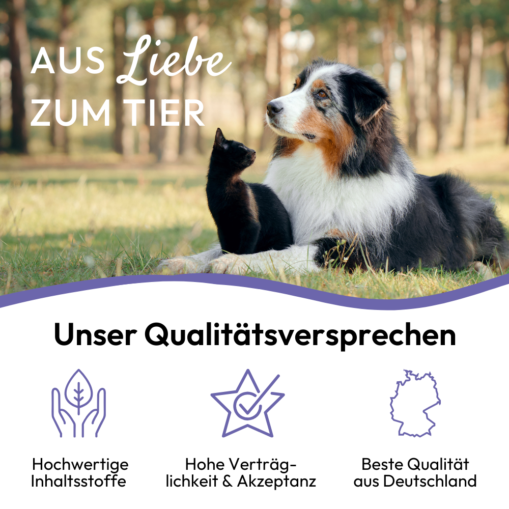 PHA BeruhigungsPaste für Hunde - 100 ml