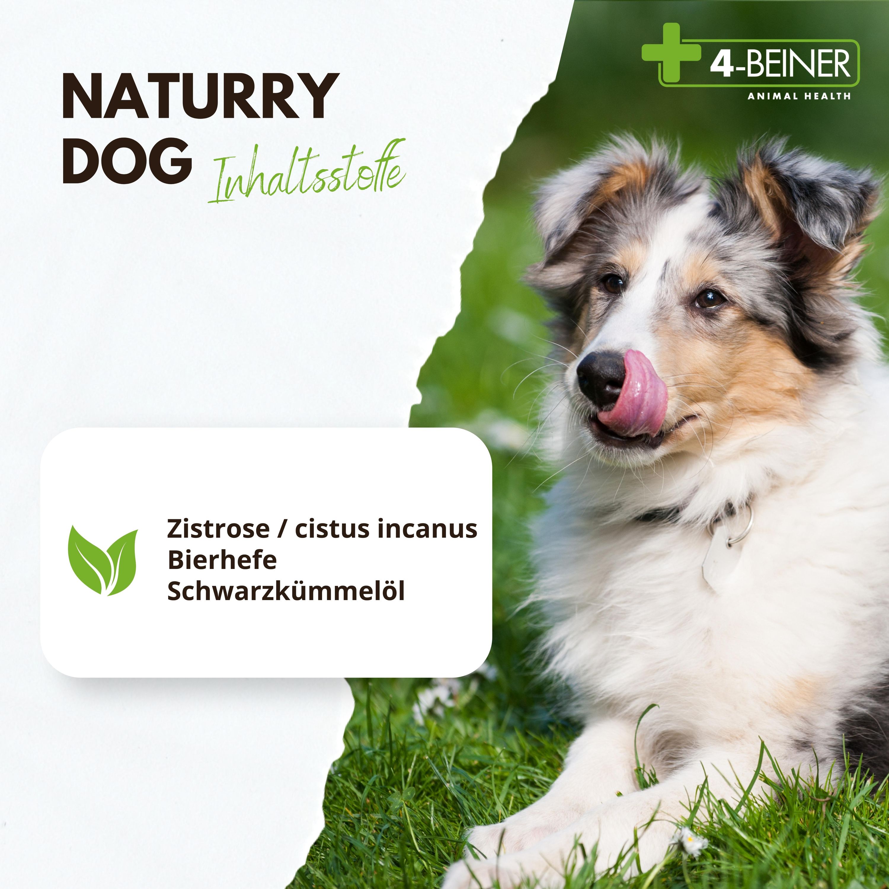 4-BEINER NATURRY-DOG