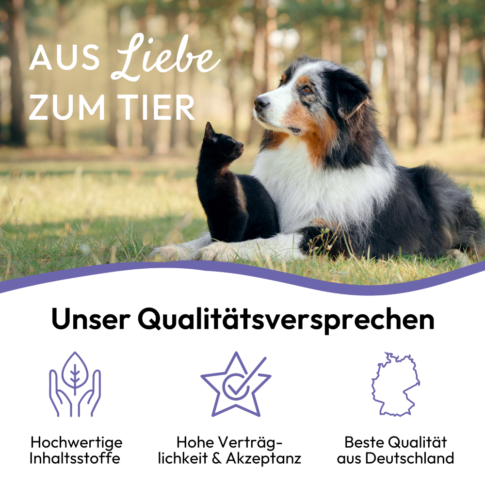 PHA AntiStress für Hunde u. Katzen 30 ml