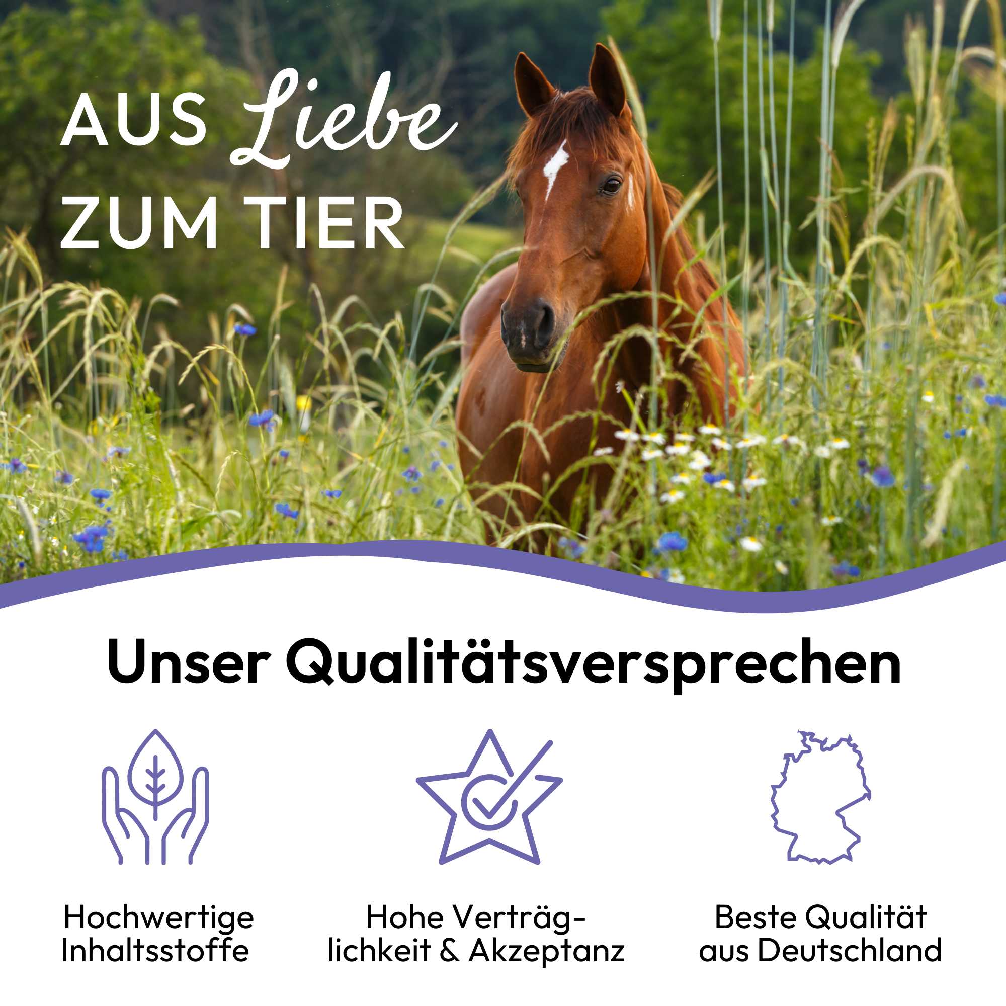 PHA AtmungAktiv Liquid für Pferde