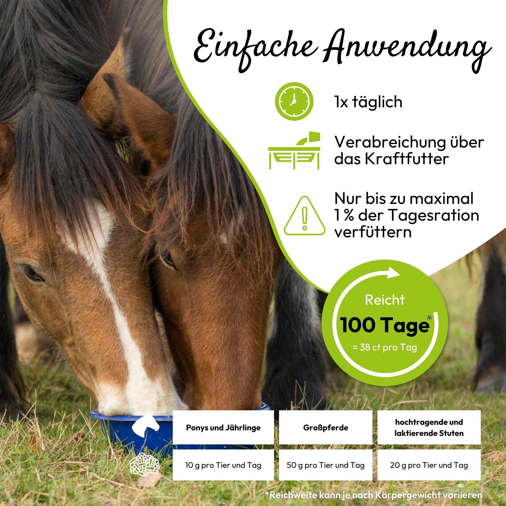 PHA BasisMineralPlus Pellets für Pferde
