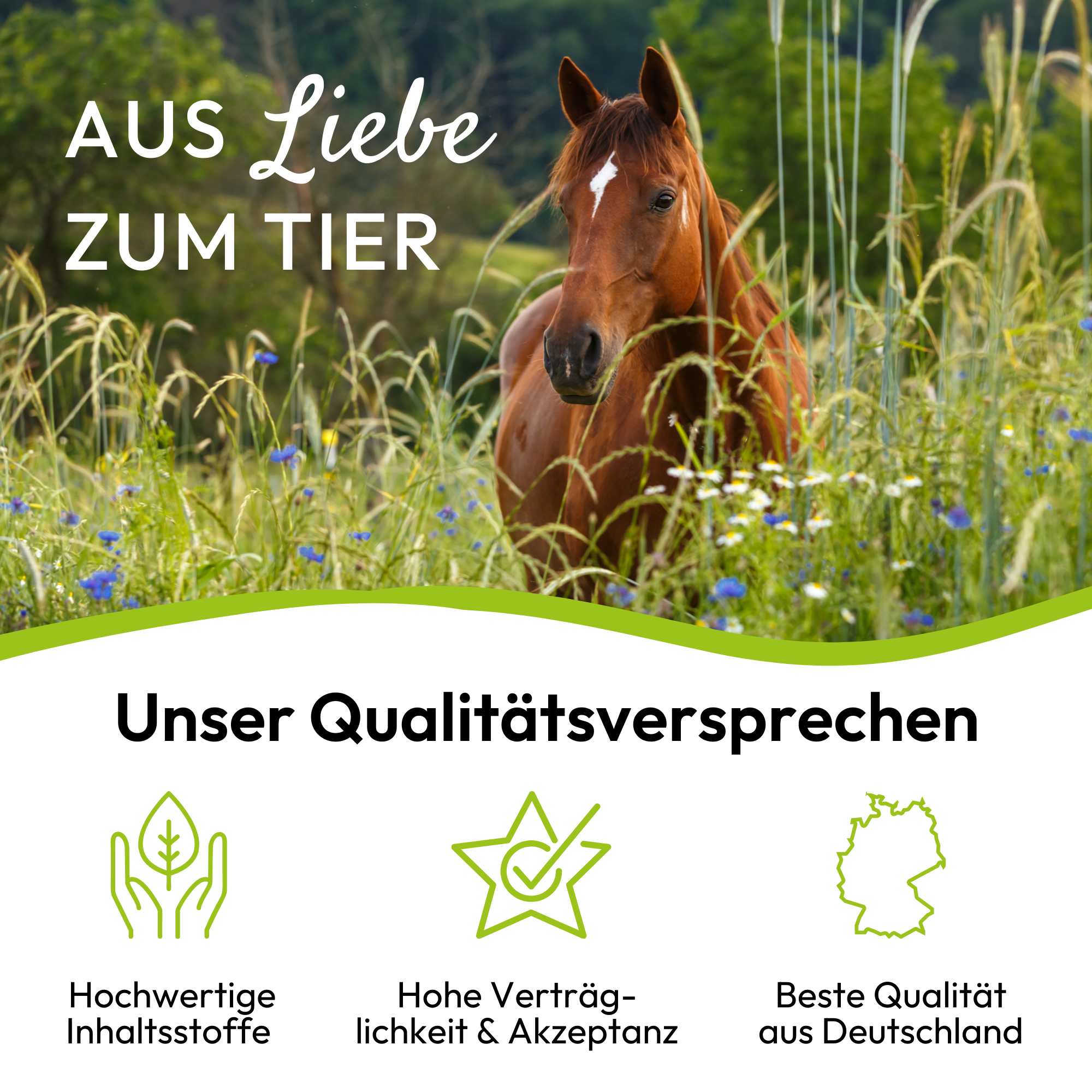 PHA BewegungAktiv Liquid für Pferde