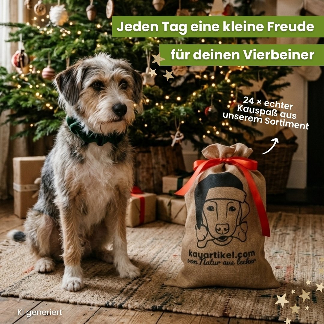 Adventskalender für Hunde