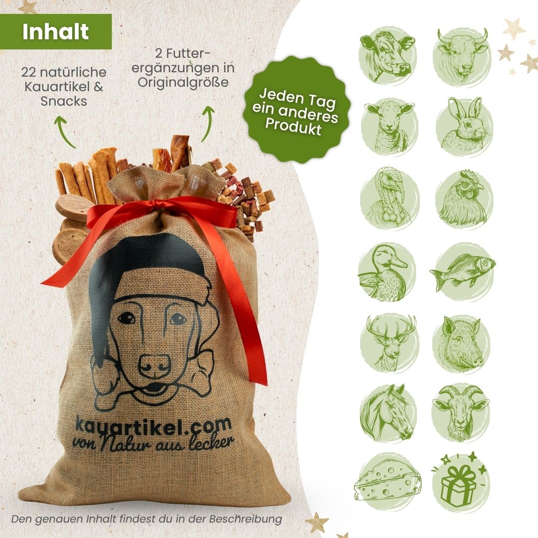 Adventskalender für Hunde