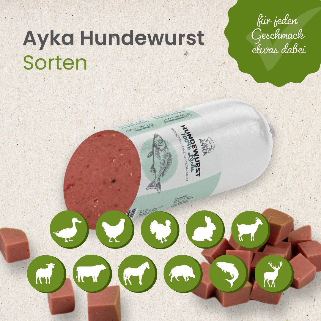 Ayka Hundewurst Lachs