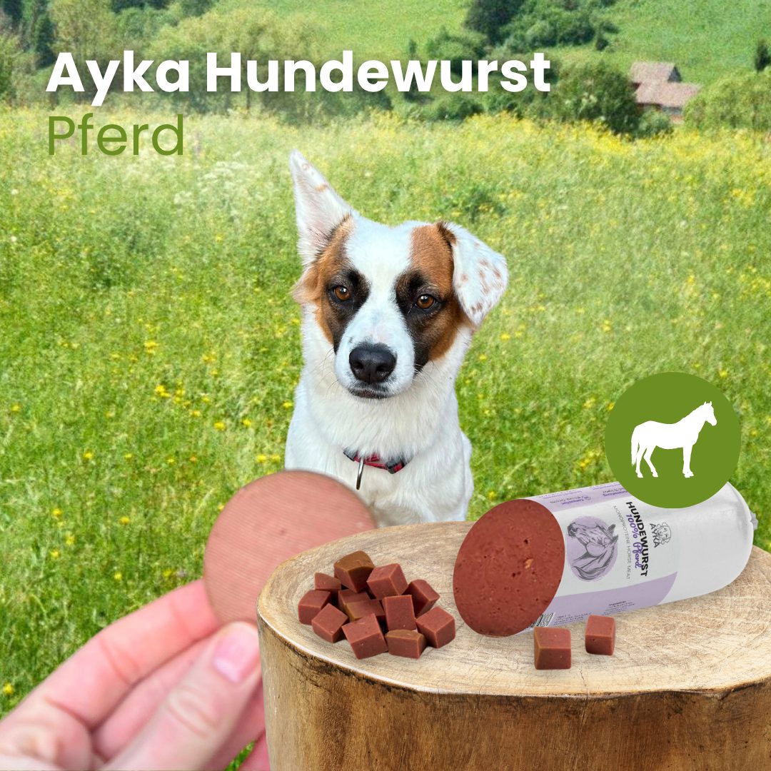Ayka Hundewurst Pferd