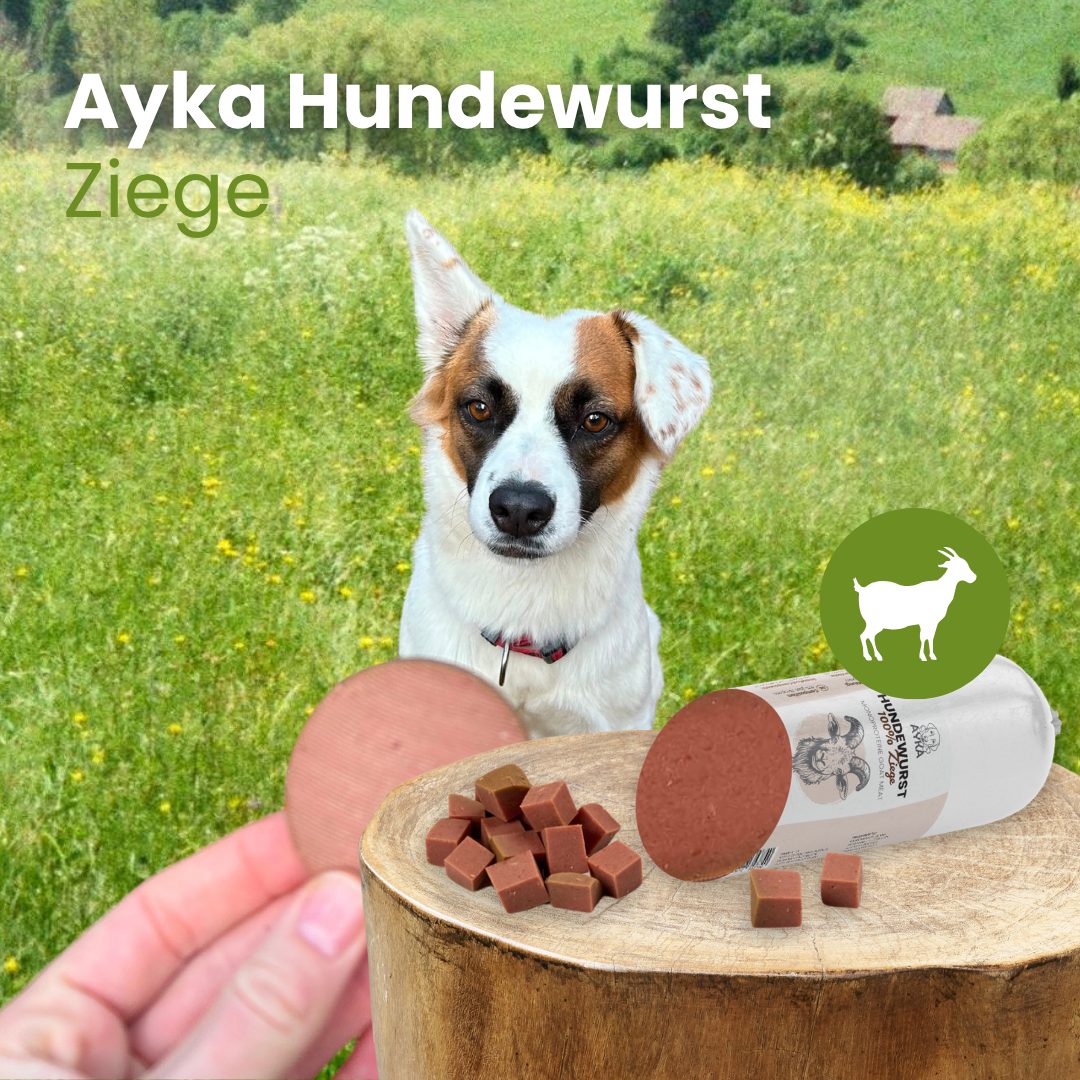 Ayka Hundewurst Ziege