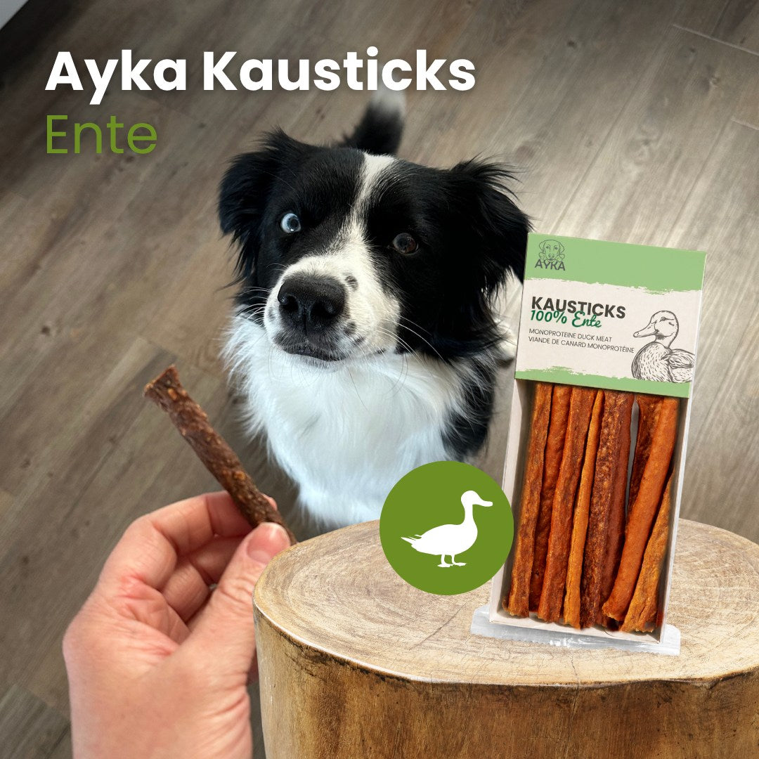 AYKA Kausticks Ente