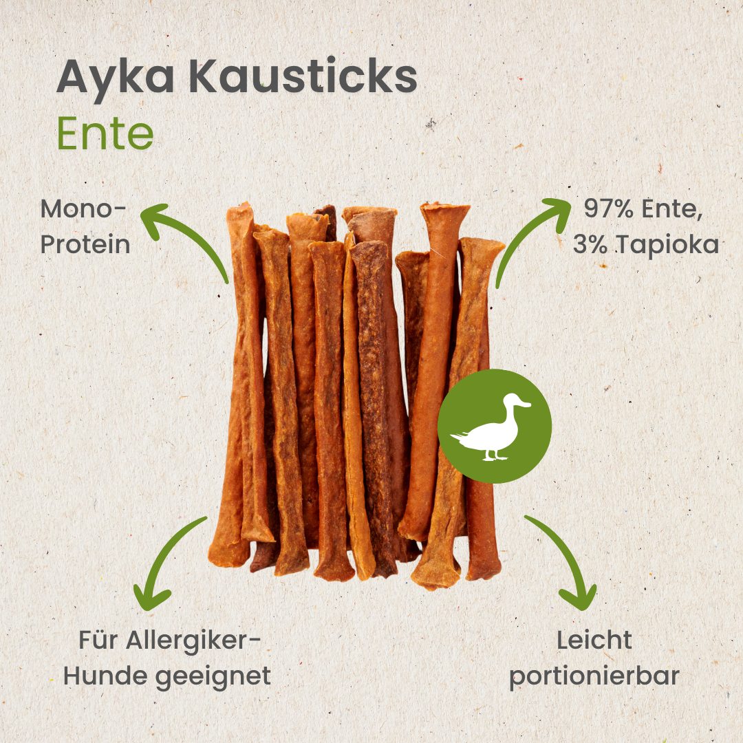 AYKA Kausticks Ente