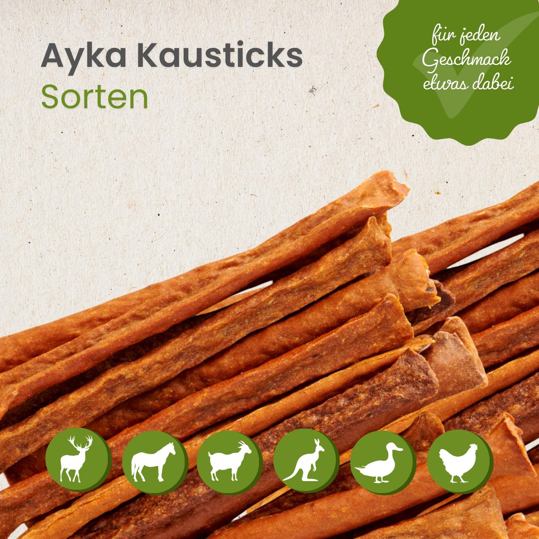 AYKA Kausticks Ente