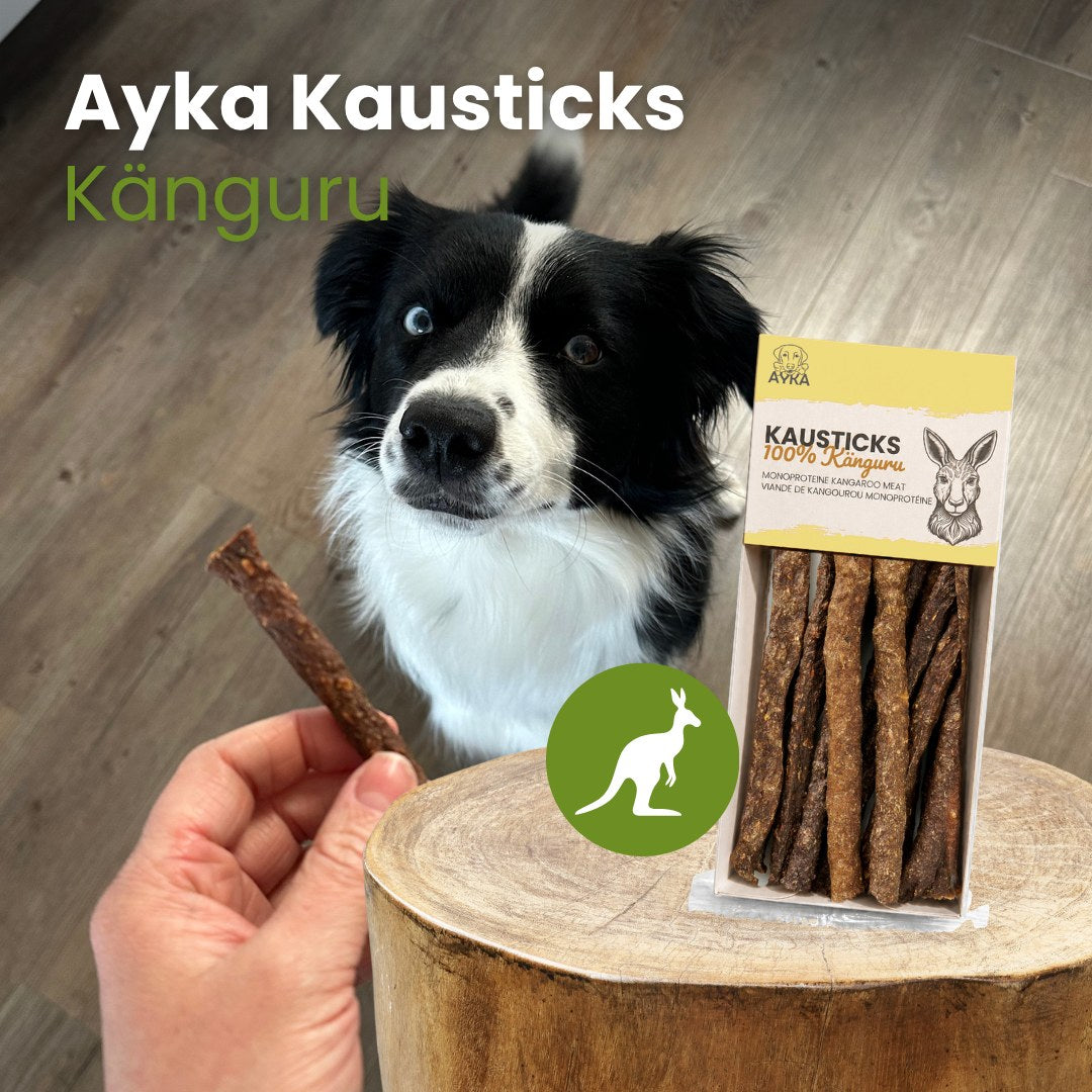 AYKA Kausticks Känguru