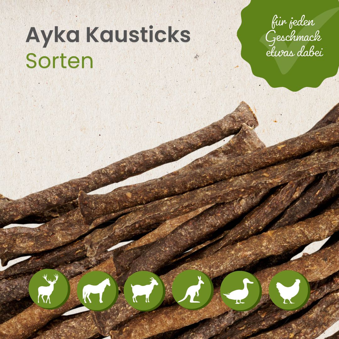 AYKA Kausticks Känguru