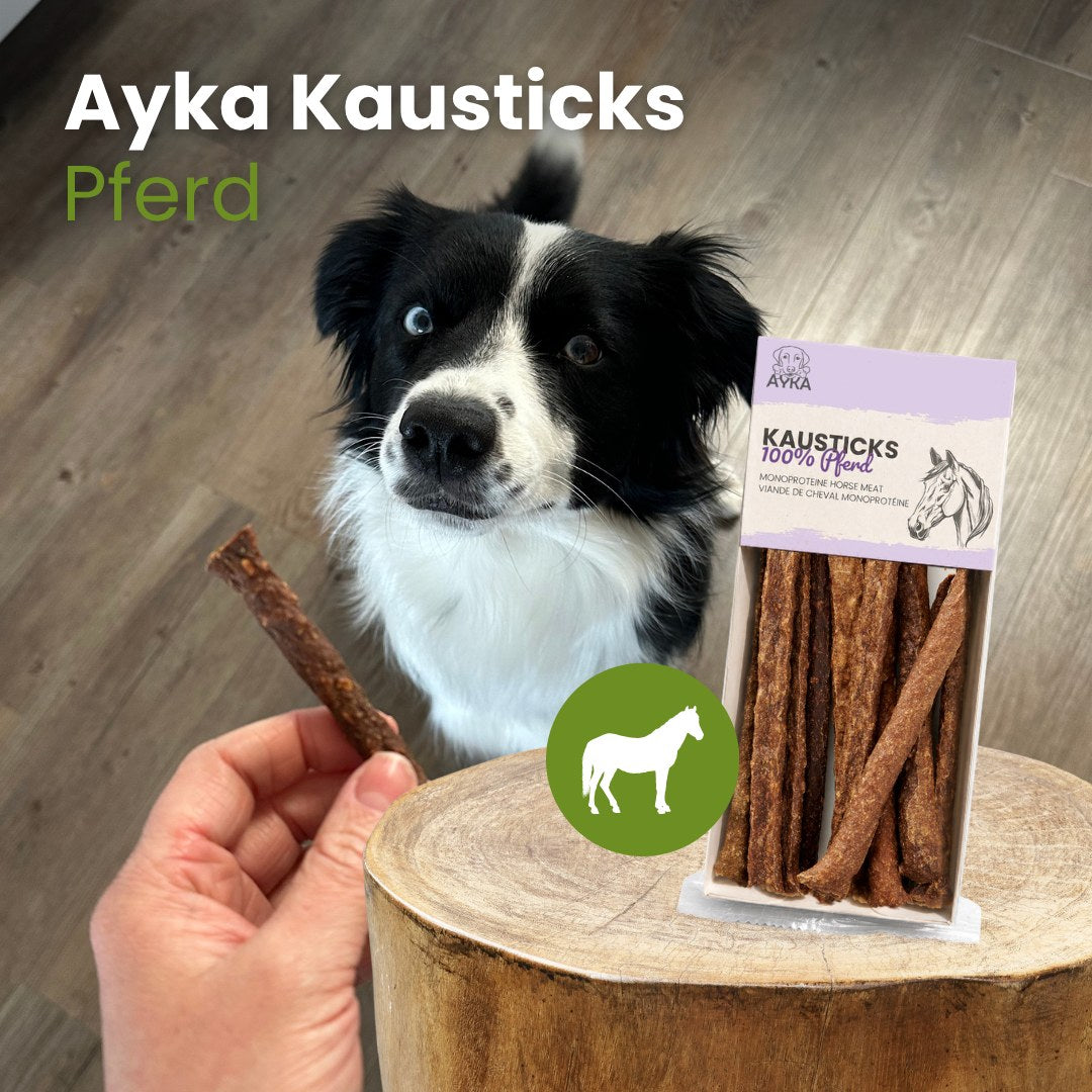 AYKA Kausticks Pferd