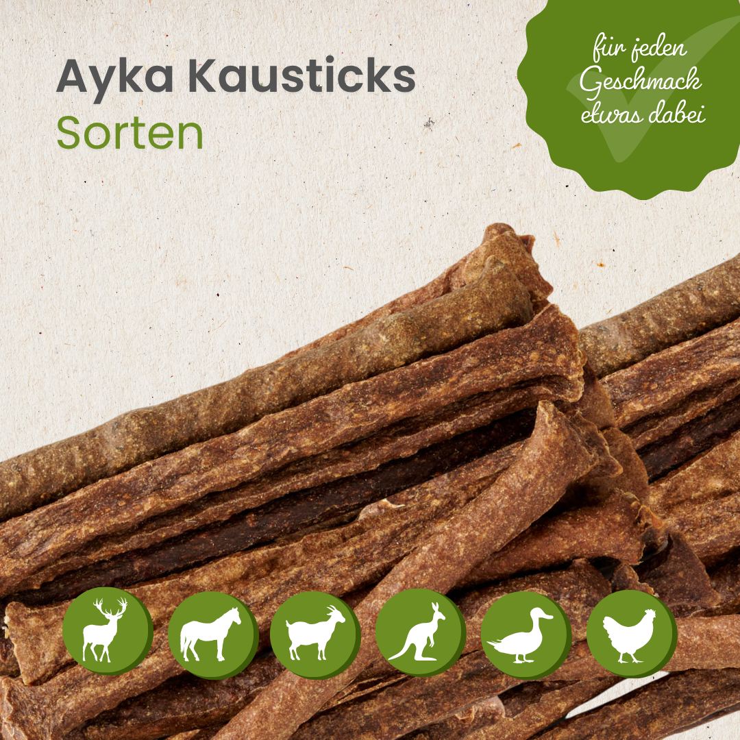 AYKA Kausticks Pferd