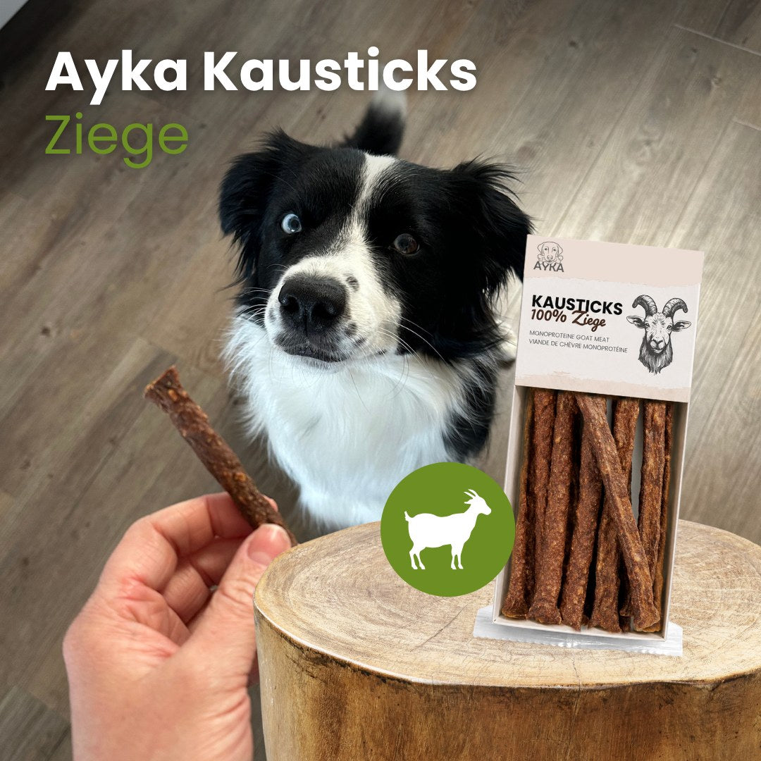 AYKA Kausticks Ziege