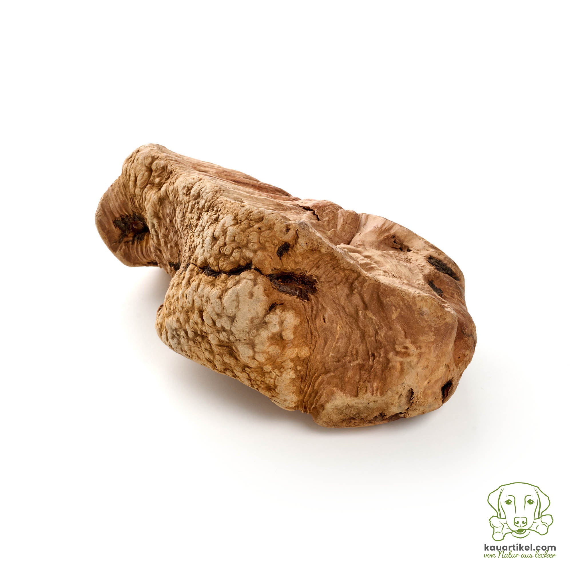 Ayka Kauwurzel