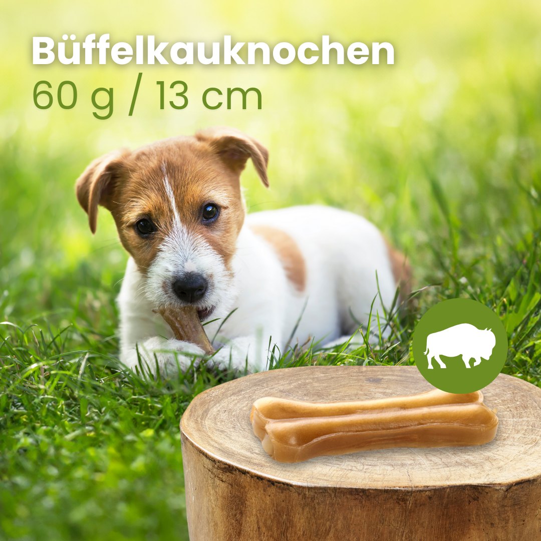 Büffelknochen, 35g / 11cm