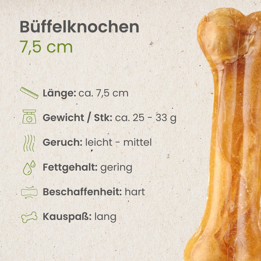 Büffelknochen, 7,5 cm