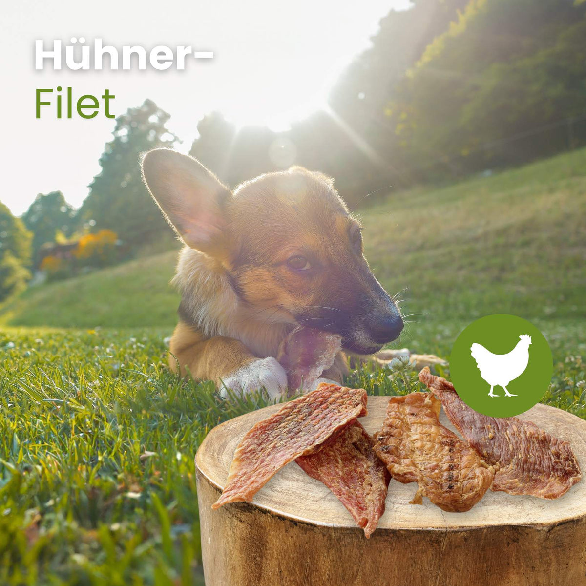 Hühner-Filet - Hühnerbrustfilet