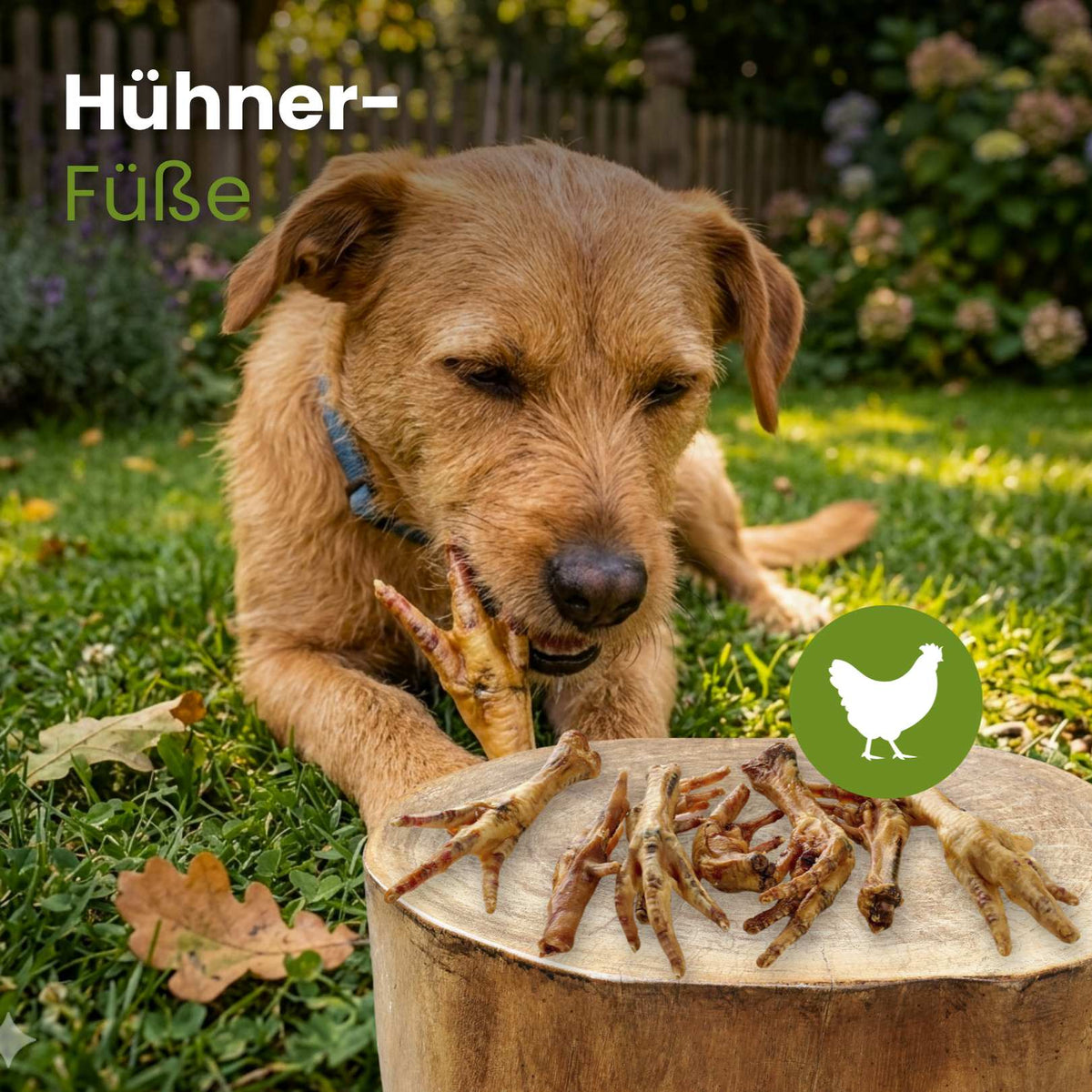 Hühner-Füße