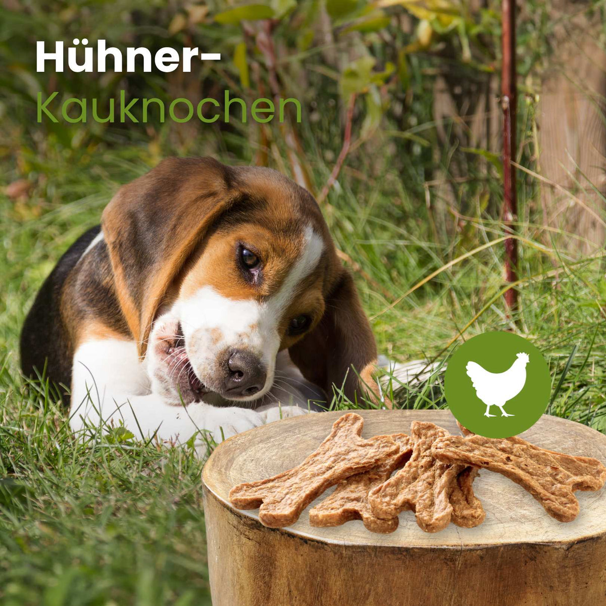 Hühner-Kauknochen
