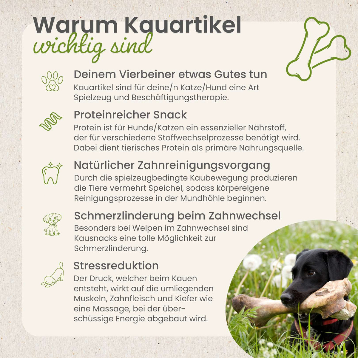 Hühner-Würfel