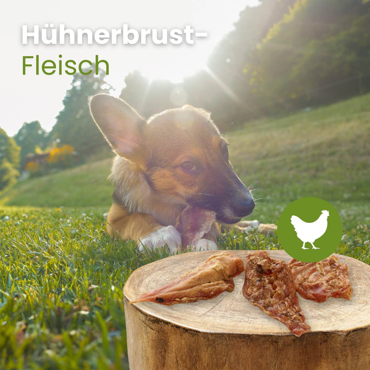 Hühnerbrust-Fleisch