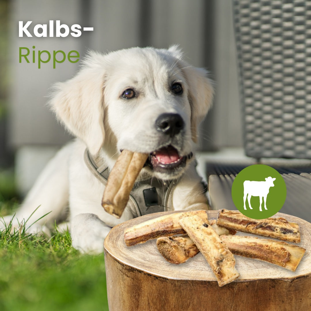 Kalbs-Rippe