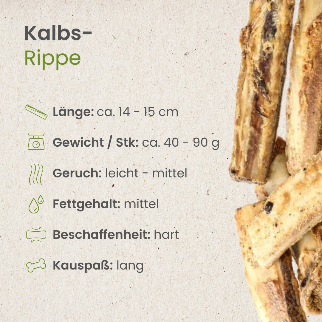 Kalbs-Rippe