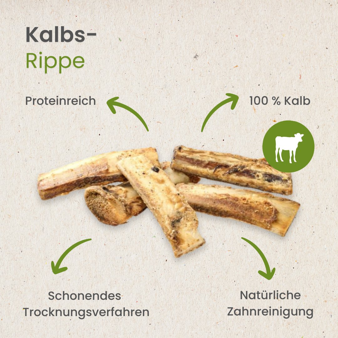 Kalbs-Rippe