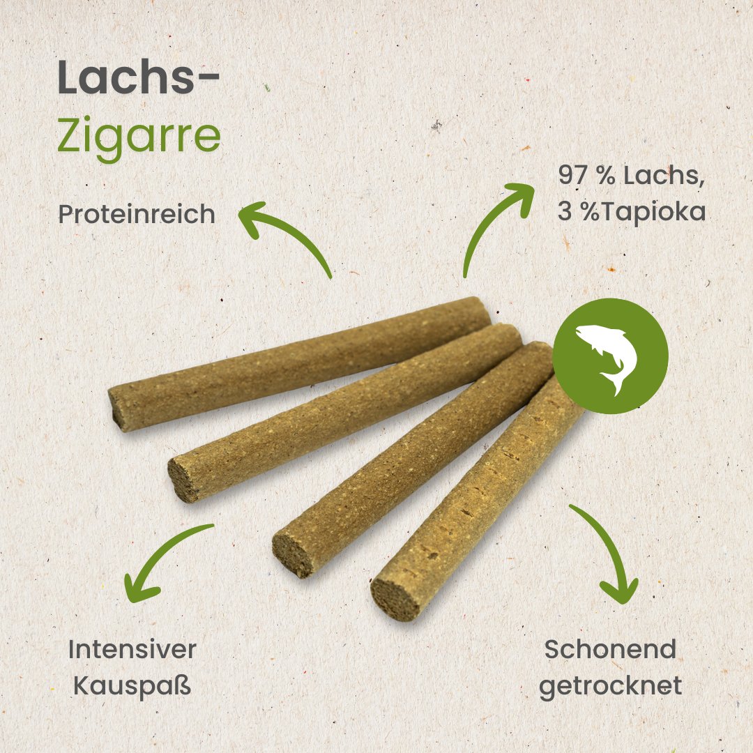 Lachs-Zigarre