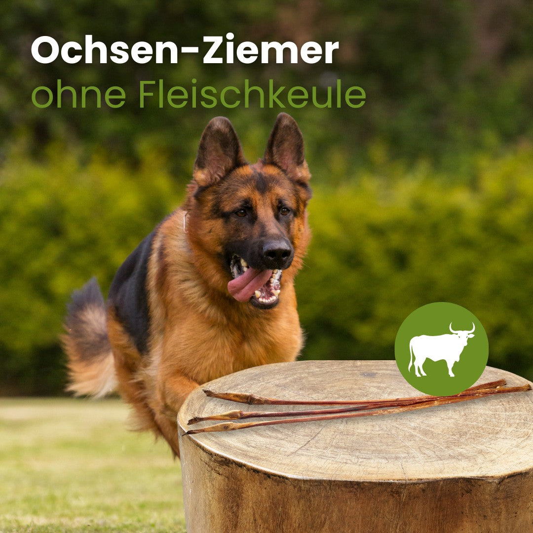 Ochsen-Ziemer ohne Fleischkeule