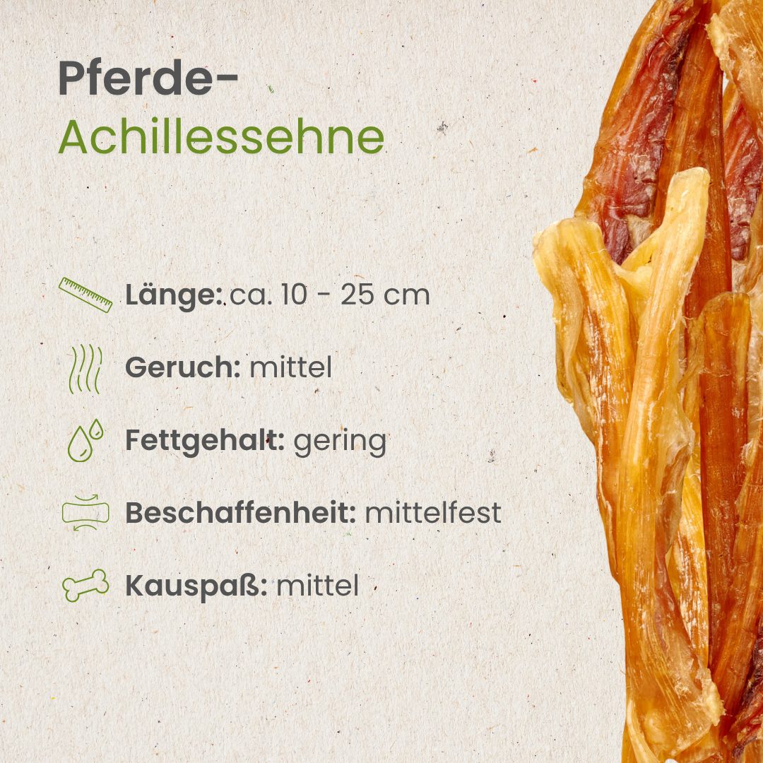 Pferde-Achillessehne