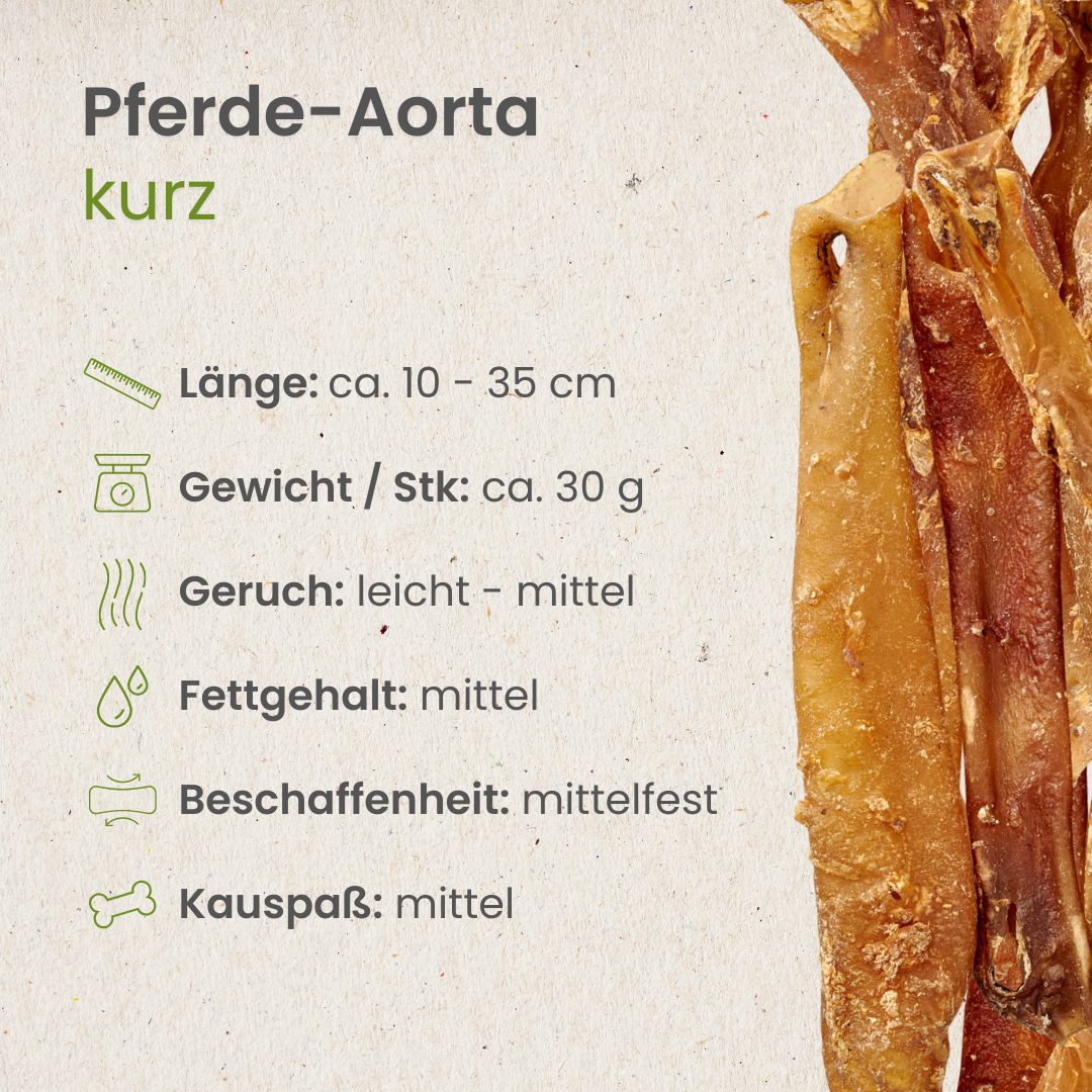 Pferde-Aorta, kurz