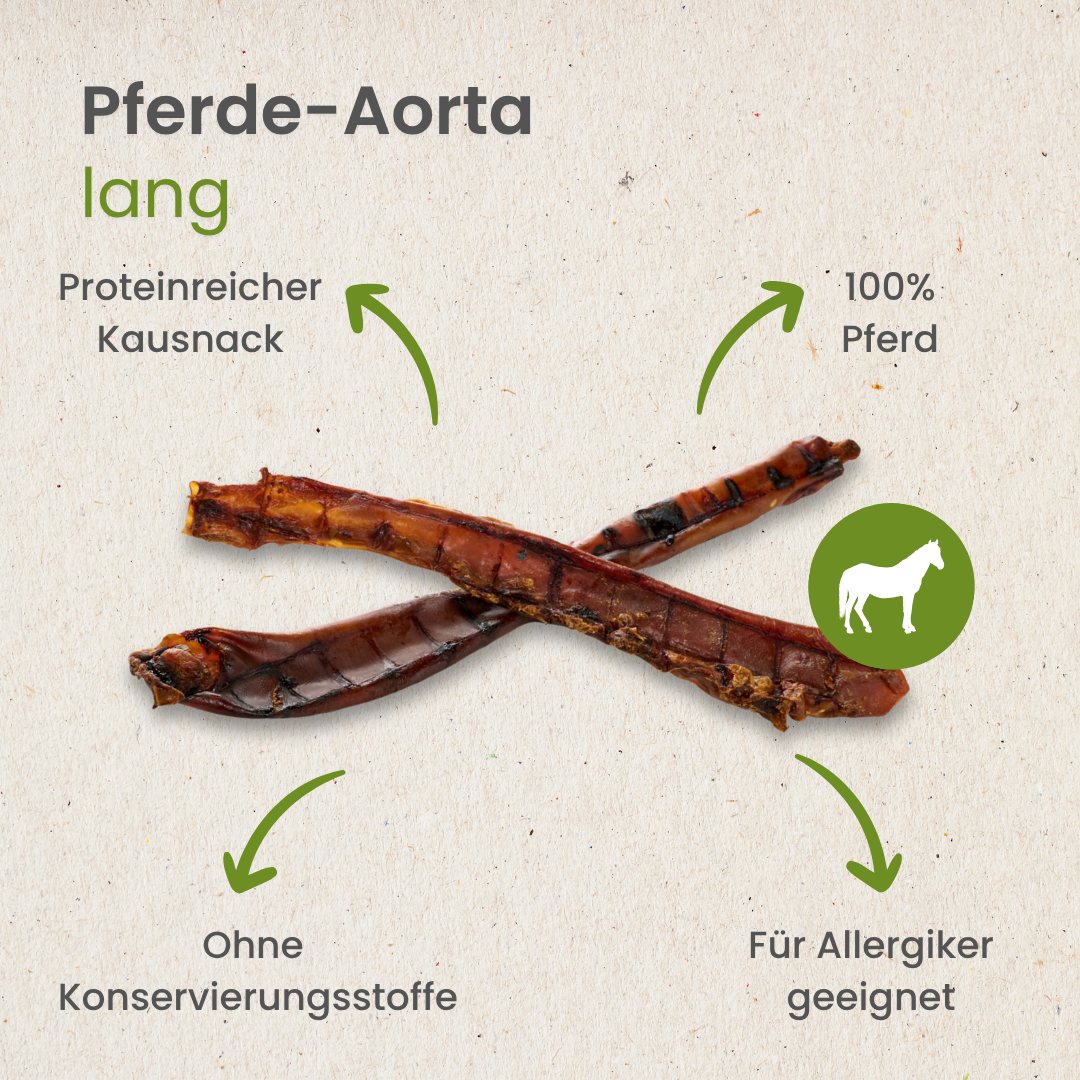 Pferde-Aorta, lang