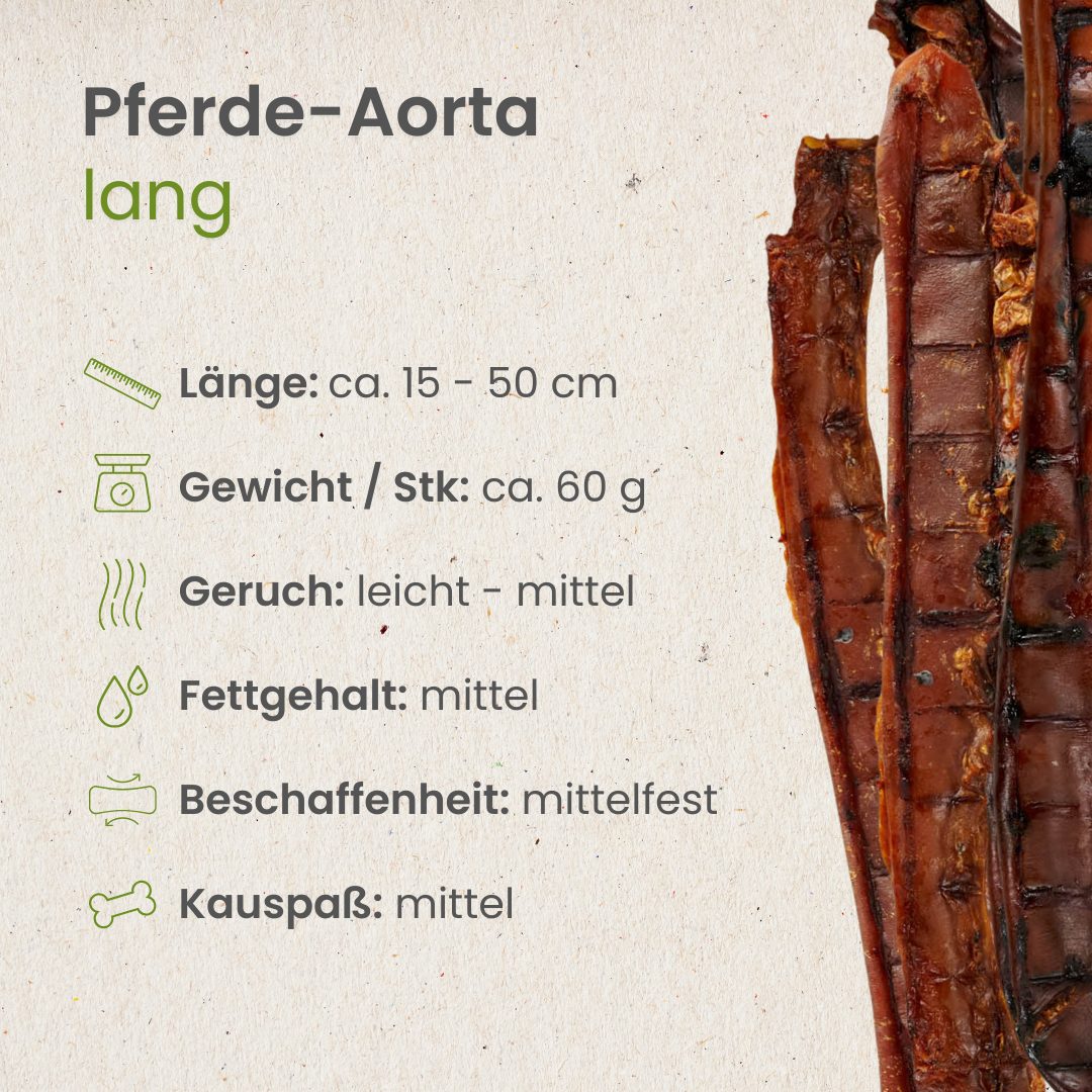 Pferde-Aorta, lang