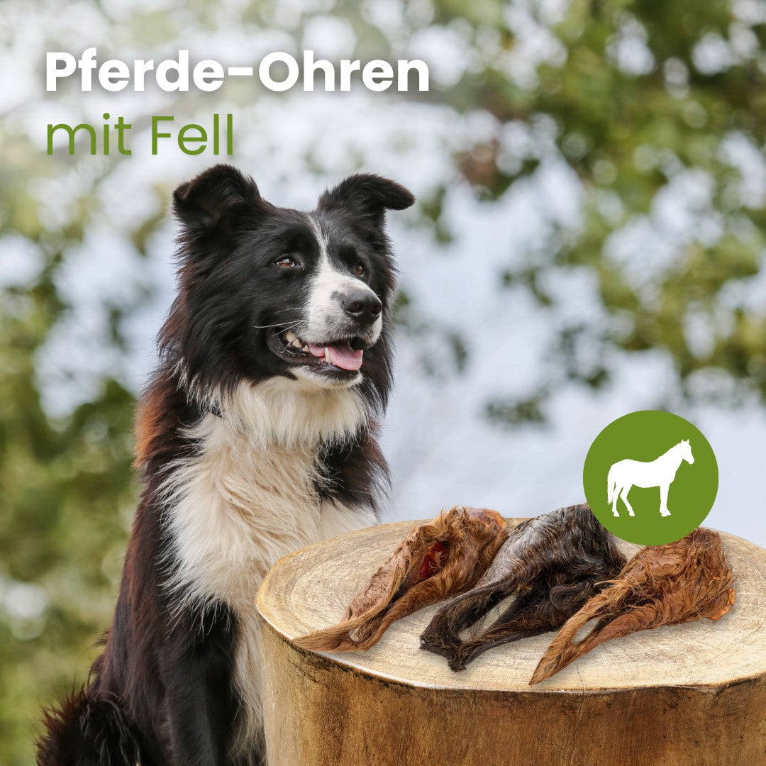 Pferde-Ohren mit Fell - Stückware