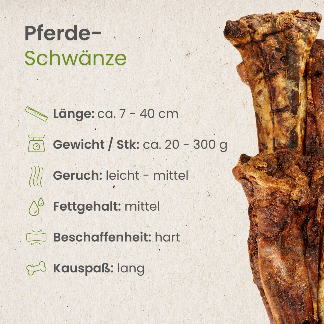 Pferde-Schwänze