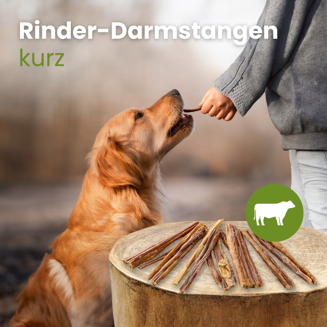 Rinder-Darmstangen, kurz
