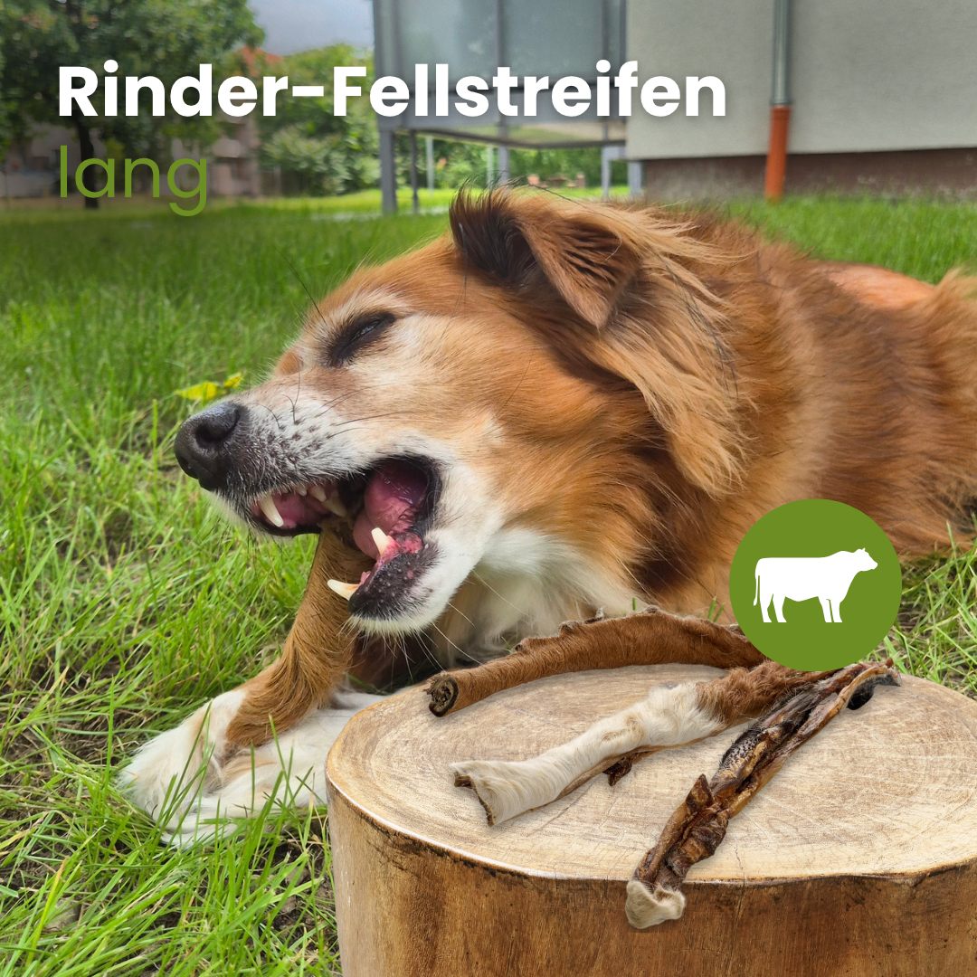 Rinder-Fellstreifen, lang